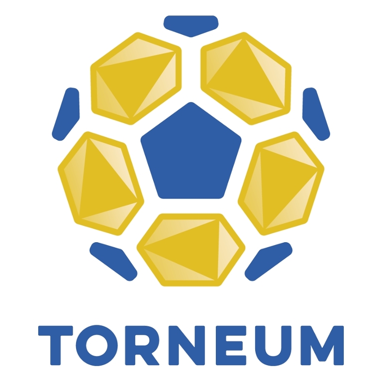 Torneum Fußballpark 5